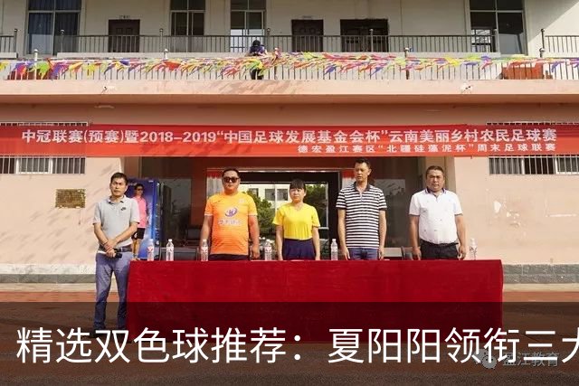 精选双色球推荐：夏阳阳领衔三大专家同中2等249万